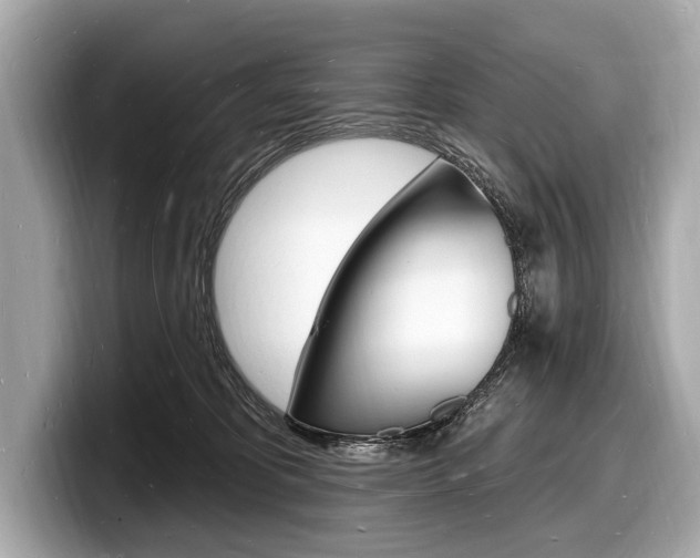 X0000098230325200804241207