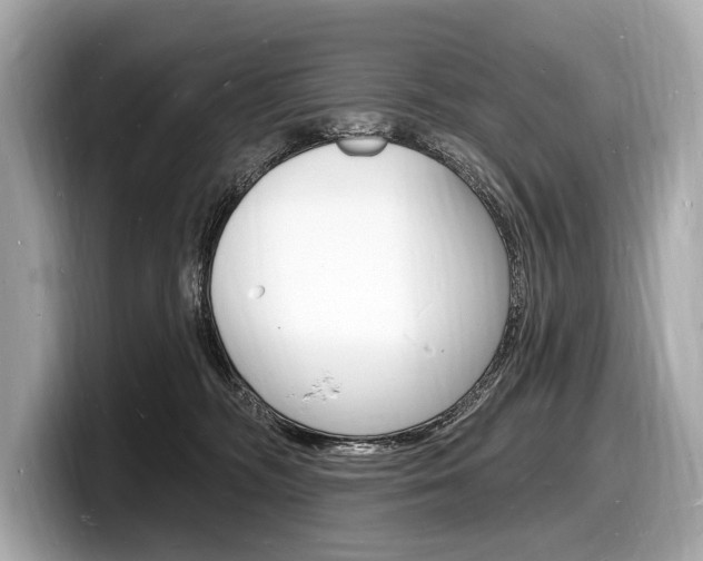 X0000098230326200804241207
