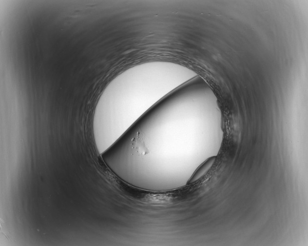 X0000098230327200804241207