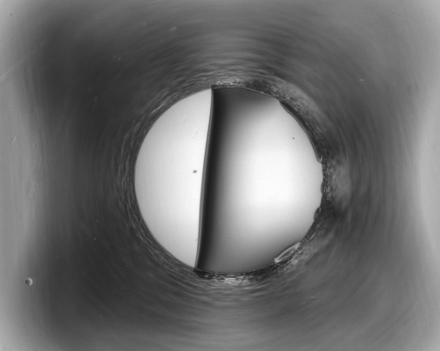 X0000098230329200804241206