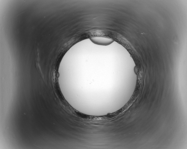 X0000098230330200804241206