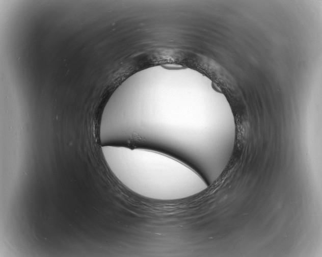 X0000098230331200804241206