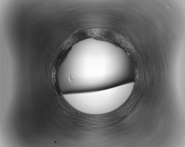 X0000098230332200804241206