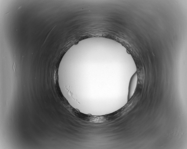 X0000098230334200804241206