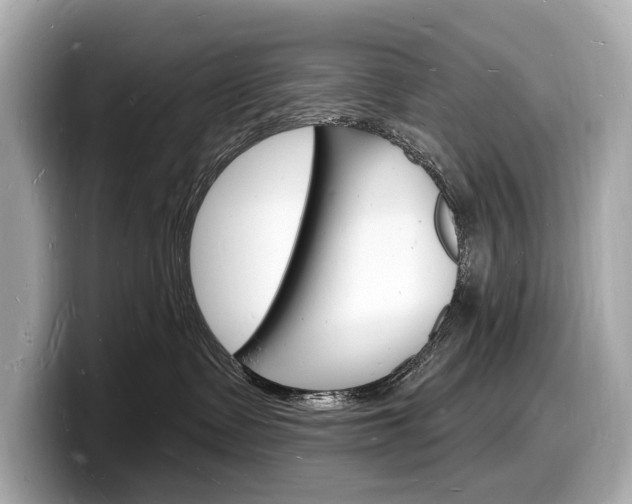 X0000098230335200804241206