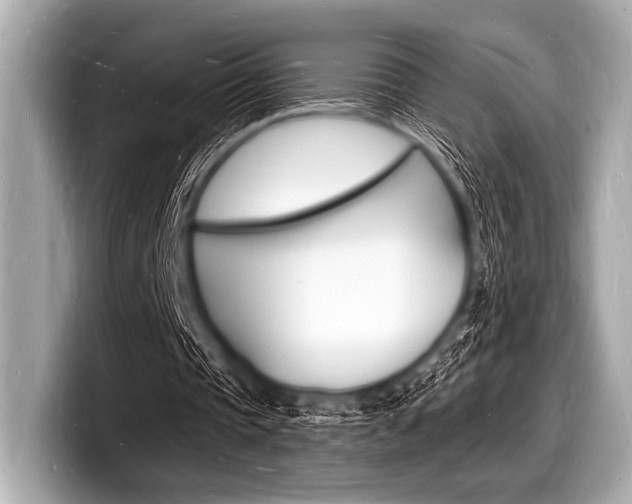 X0000098230337200804241206