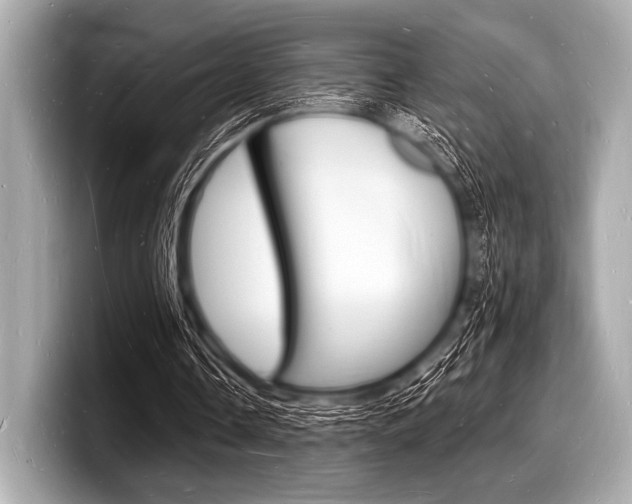X0000098230338200804241206