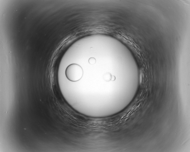 X0000098230339200804241206