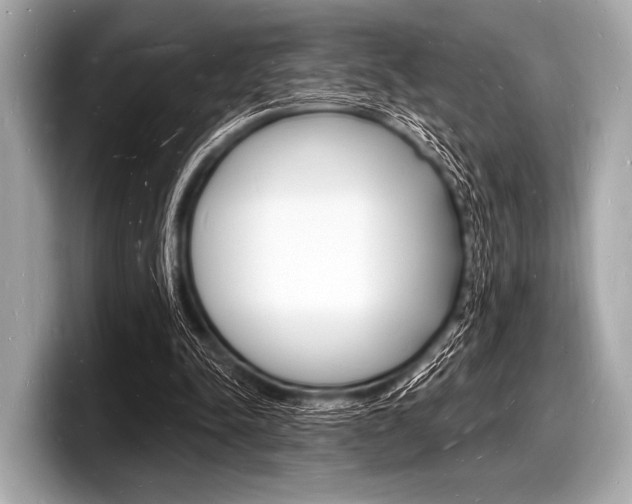 X0000098230342200804241206