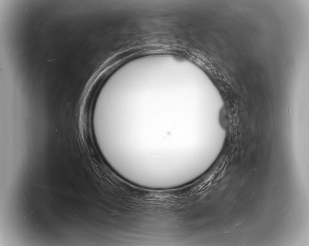 X0000098230343200804241206