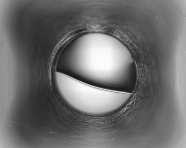 X0000098230344200804241206