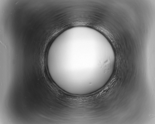 X0000098230345200804241206