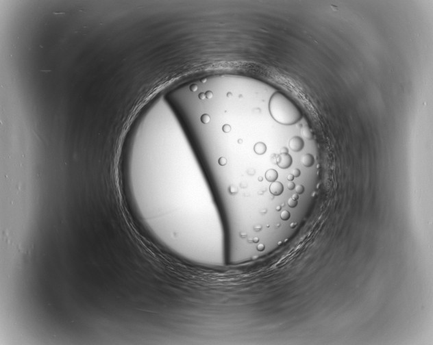 X0000098230346200804241206