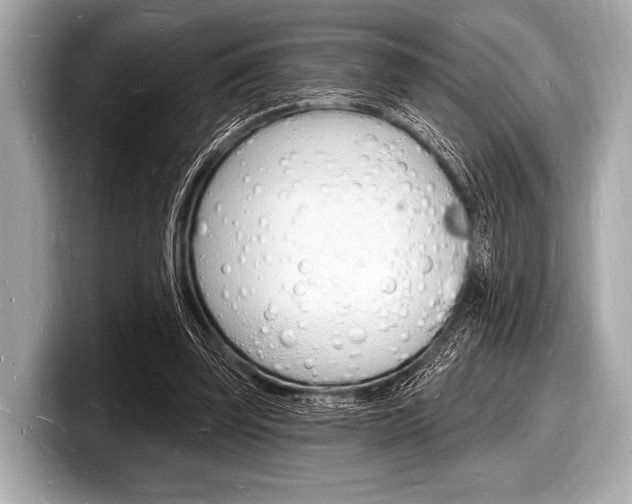 X0000098230347200804241206