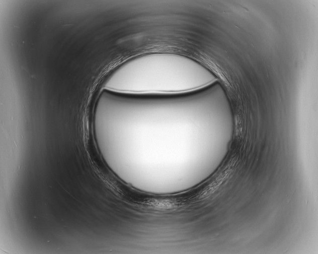 X0000098230349200804241206