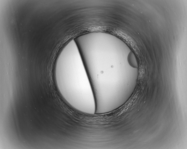 X0000098230353200804241206