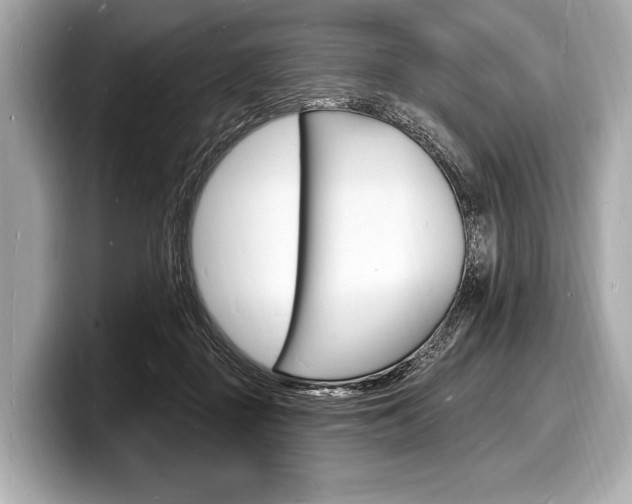 X0000098230363200804241206
