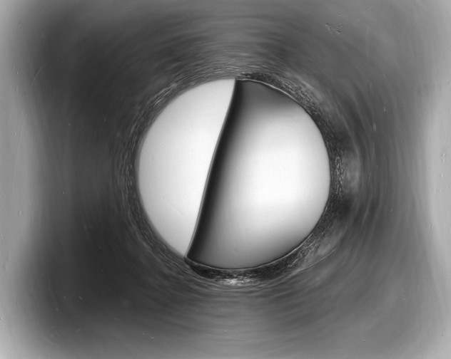 X0000098230364200804241206