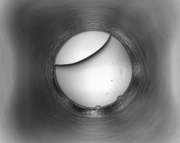 X0000098230365200804241206