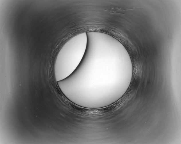 X0000098230367200804241206