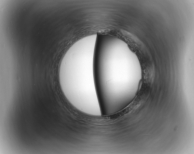 X0000098230368200804241206