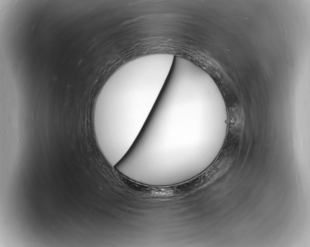 X0000098230369200804241206