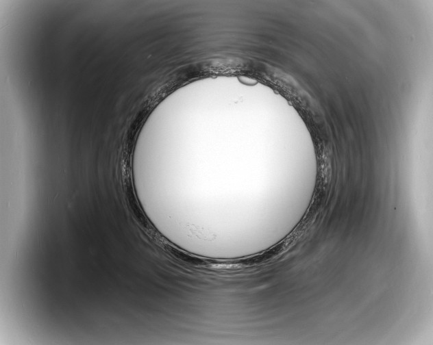 X0000098230371200804241206
