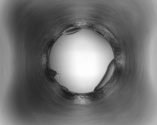 X0000098230372200804241206