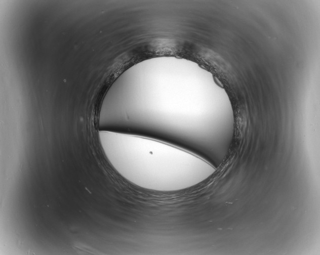 X0000098230379200804241206