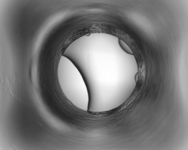 X0000098230381200804241206
