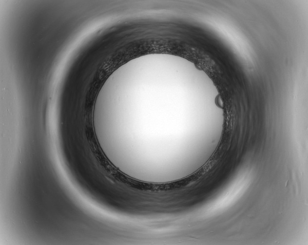 X0000098230383200804241206
