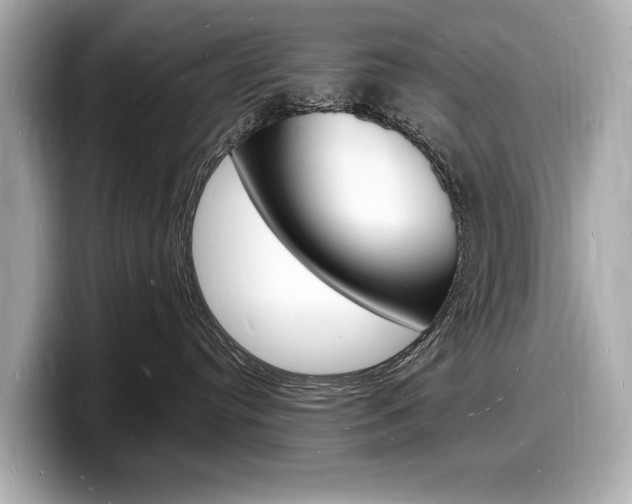 X0000098230384200804241206