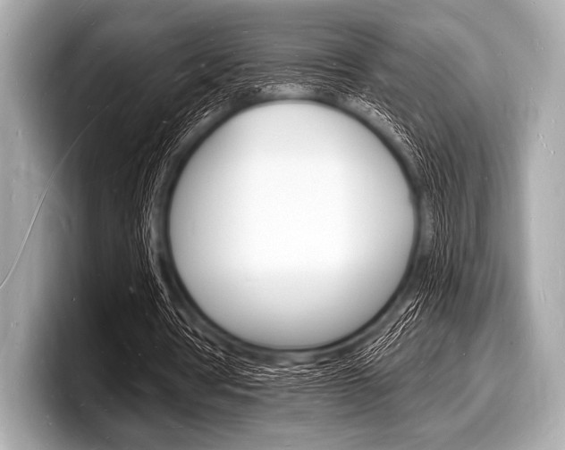 X0000098230386200804241206