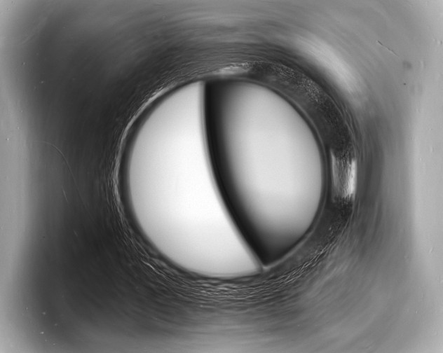 X0000098230387200804241206