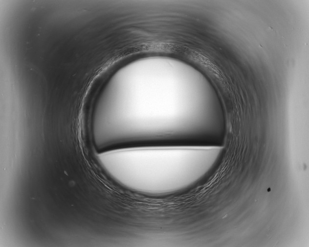 X0000098230388200804241206