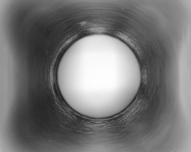 X0000098230390200804241206