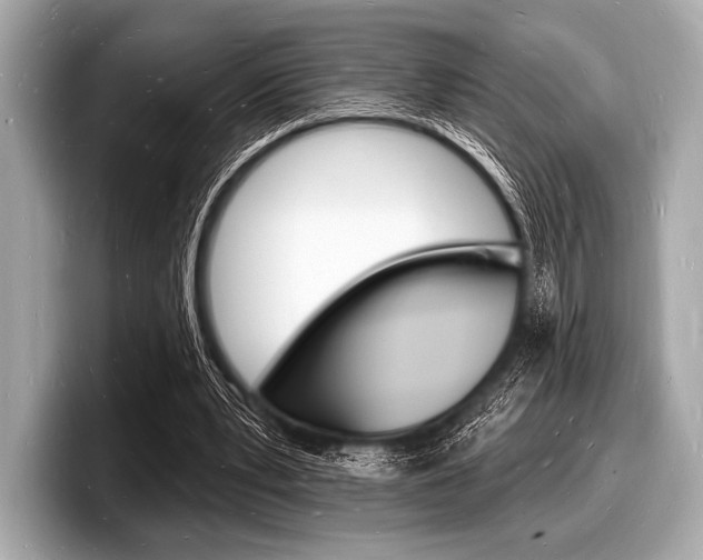 X0000098230391200804241206