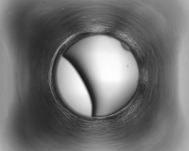 X0000098230392200804241206
