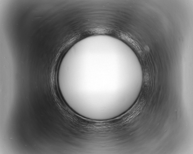 X0000098230394200804241206