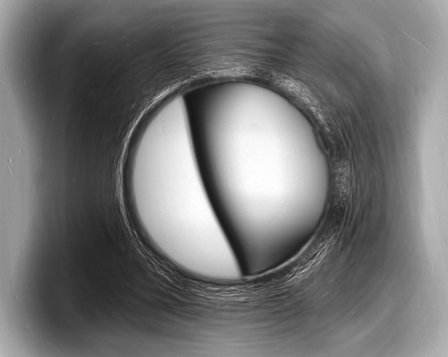 X0000098230395200804241206