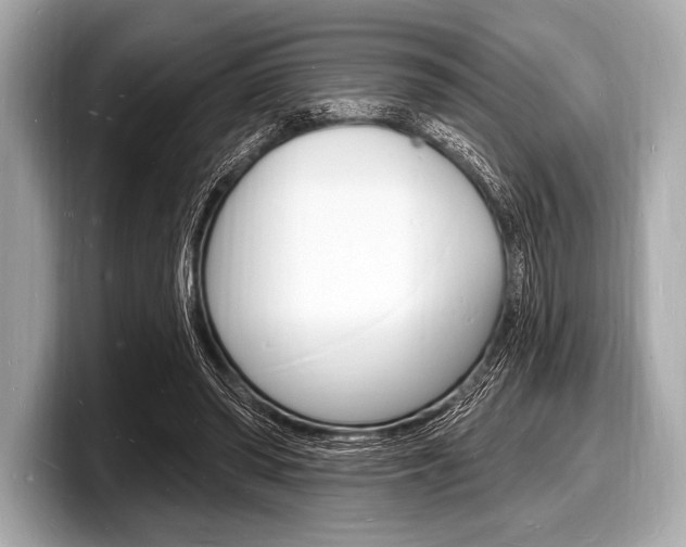 X0000098230398200804241206