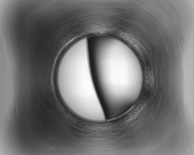 X0000098230399200804241206