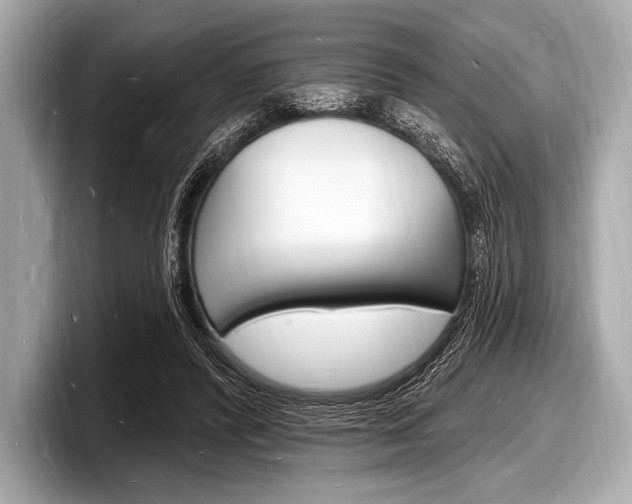 X0000098230400200804241206