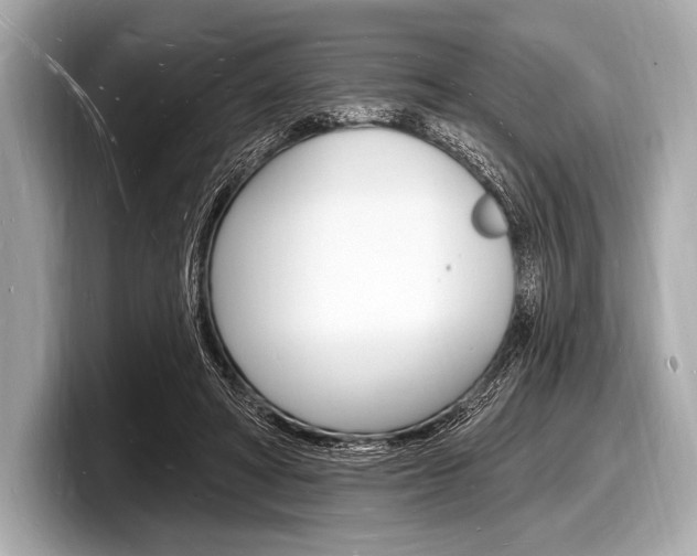 X0000098230402200804241205