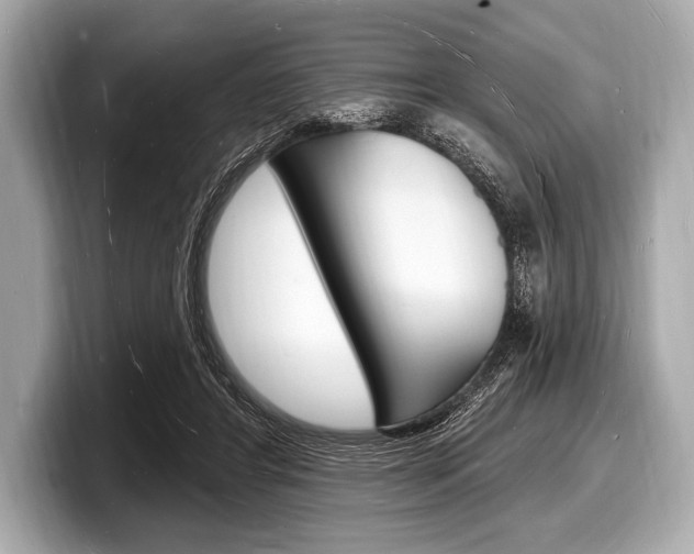 X0000098230404200804241205