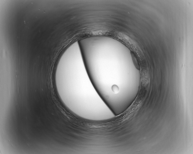 X0000098230405200804241205