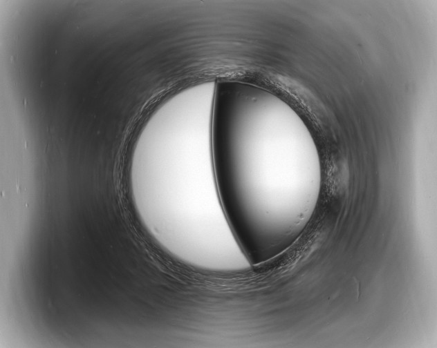 X0000098230407200804241205