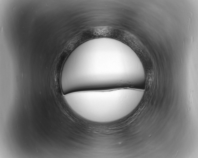 X0000098230408200804241205
