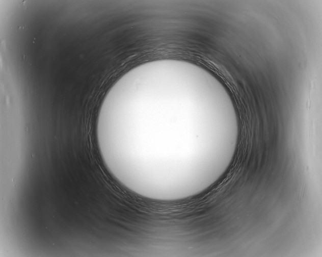 X0000098230409200804241205