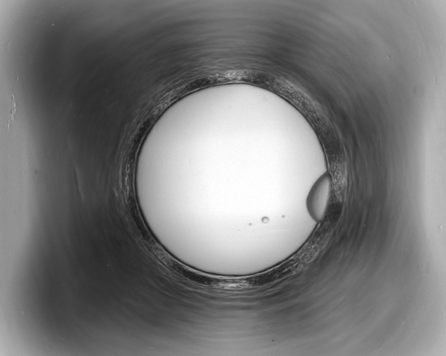 X0000098230410200804241205